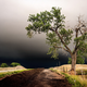 Illustration for article titled These storm photos are so perfect that they feel like illustrations